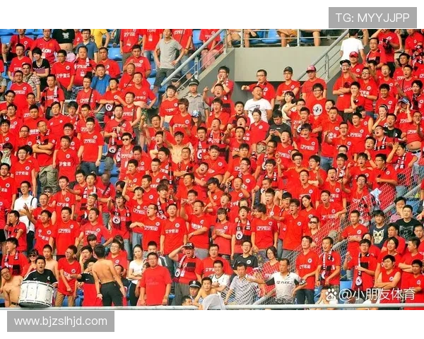 足球明星加盟中国队引发热议球迷期待新赛季精彩表现